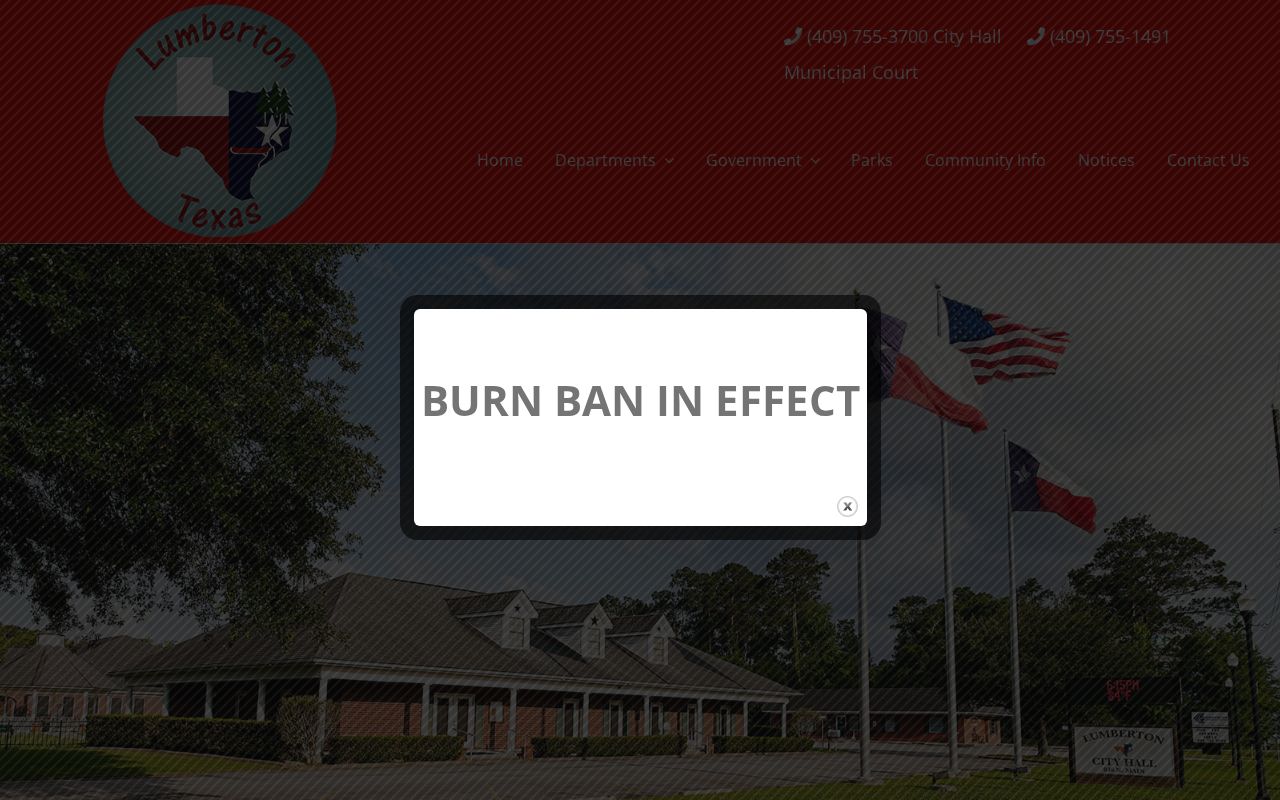 Hardin County court record details for Lumberton Municipal Court